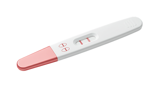 Pregnancy Test Kit